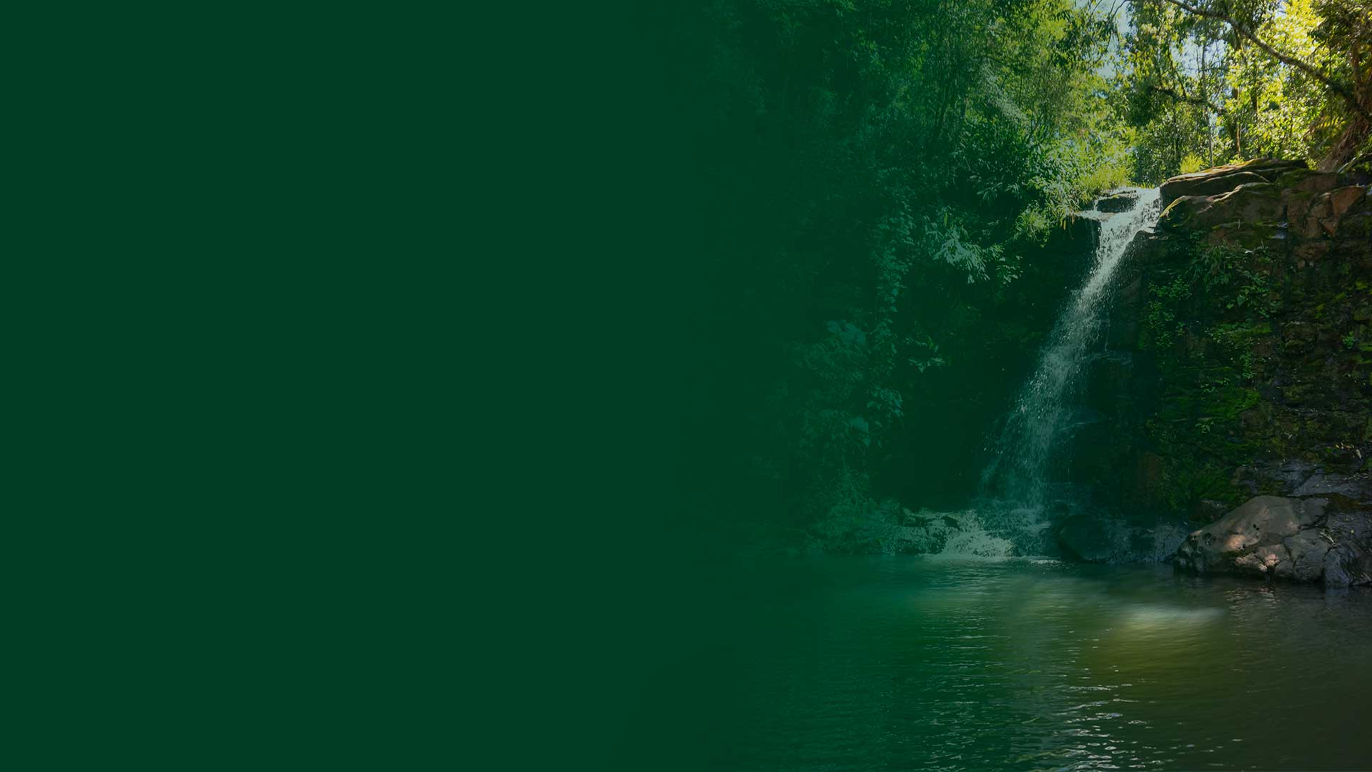 Naturaleza