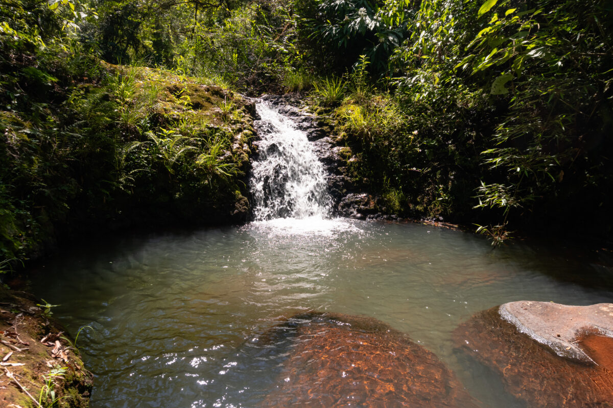 Saltos El Toro de la Selva