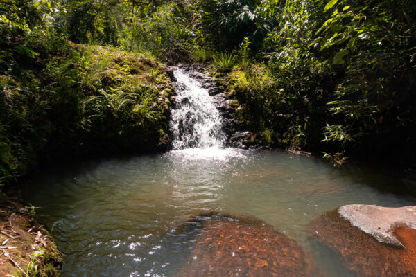 Saltos El Toro de la Selva